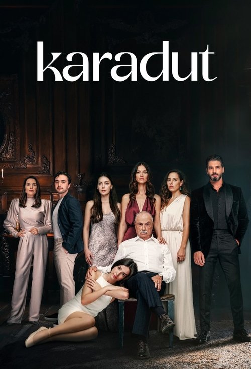 Постер сериала Черная Шелковица