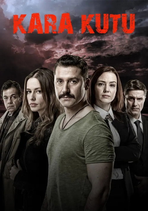 Постер сериала Черный ящик