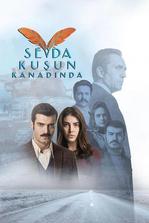 Постер сериала Любовь на крыльях птицы