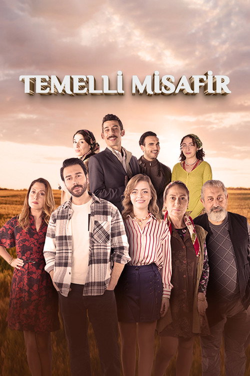 Постер сериала Временный гость