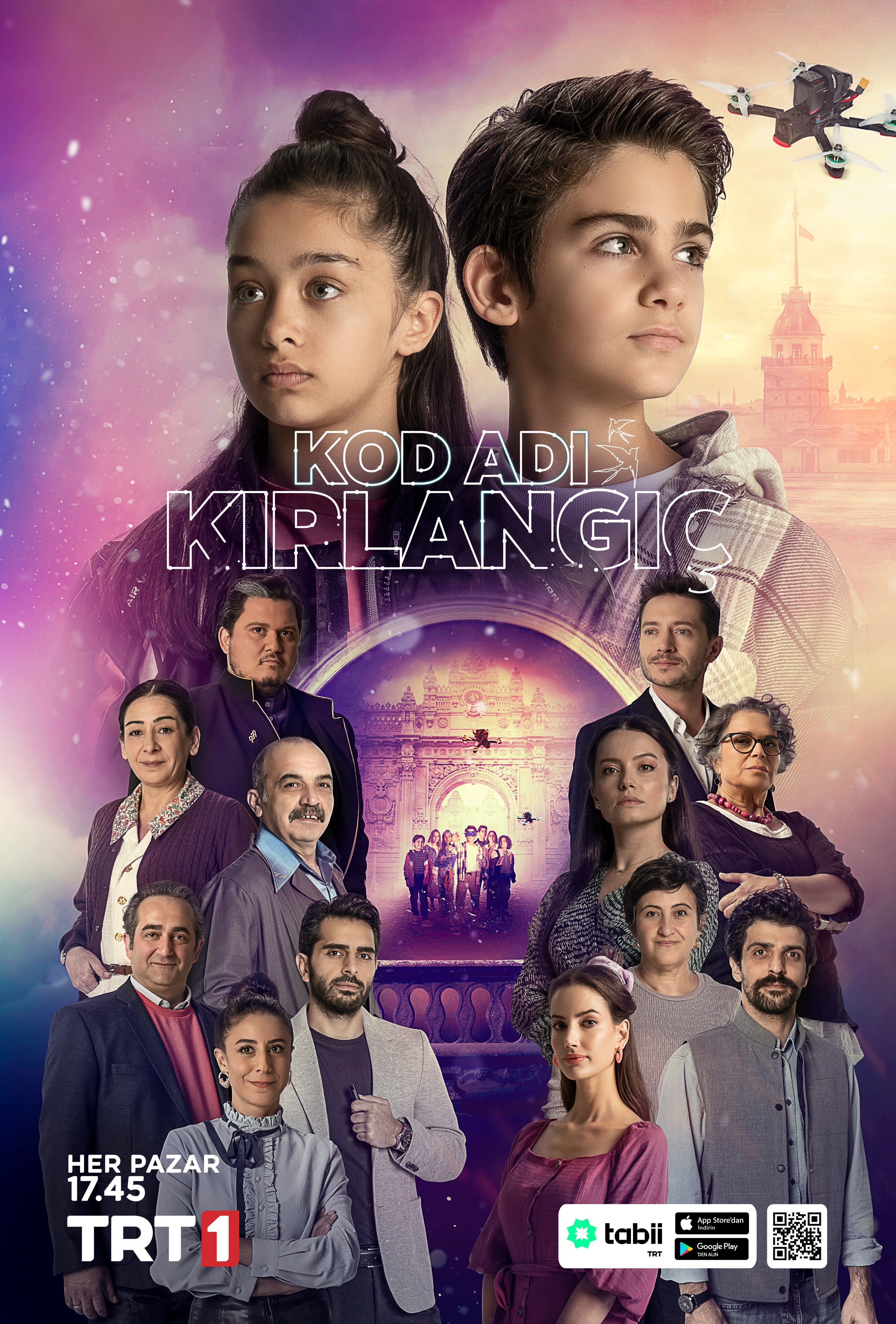Постер сериала Кодовое имя Ласточка