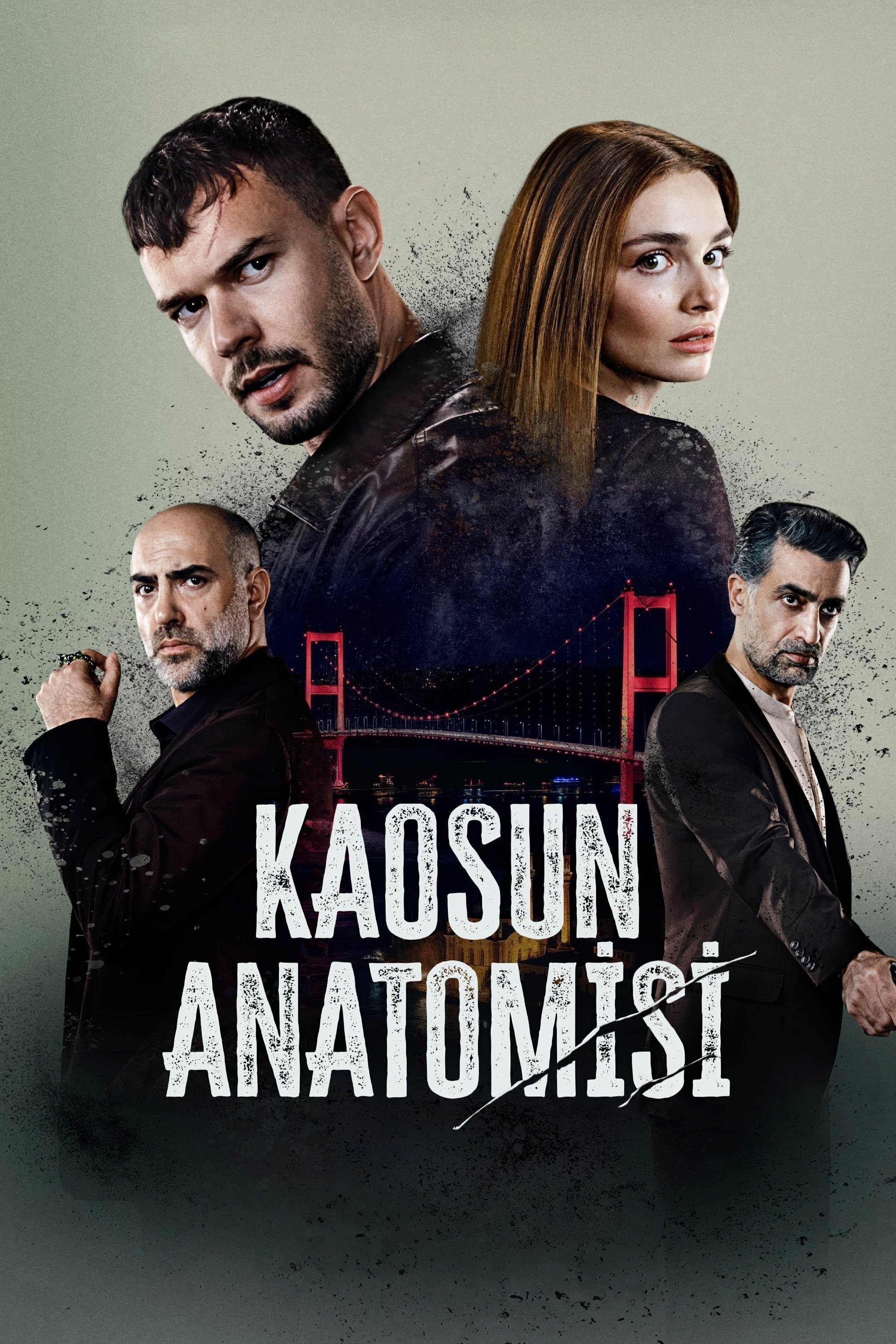 Постер сериала Анатомия хаоса