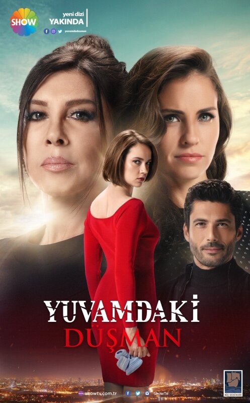 Постер сериала Враг в моем доме