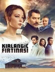 Постер сериала Шторм ласточки