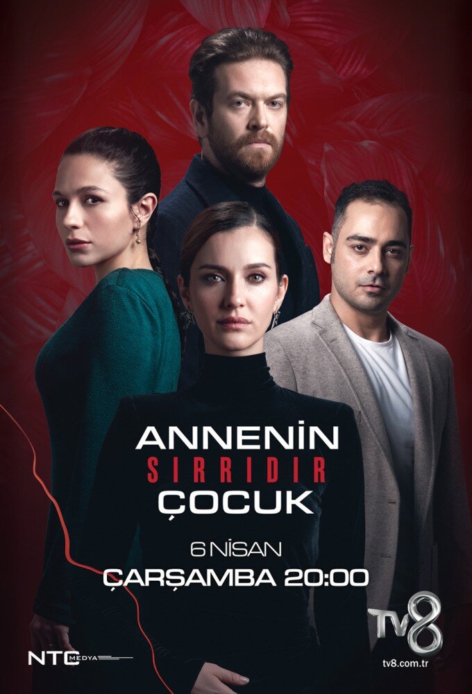 Постер сериала Тайна матери
